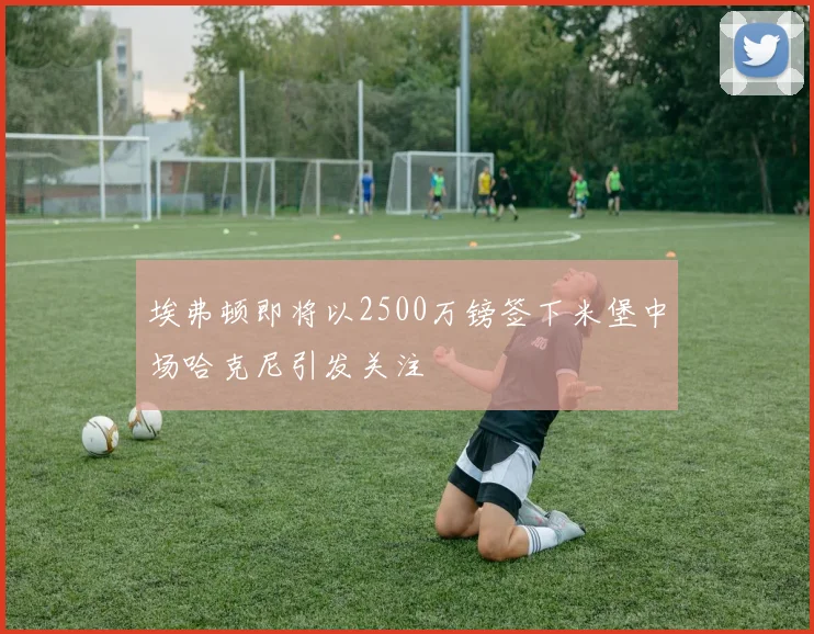 埃弗顿即将以2500万镑签下米堡中场哈克尼引发关注