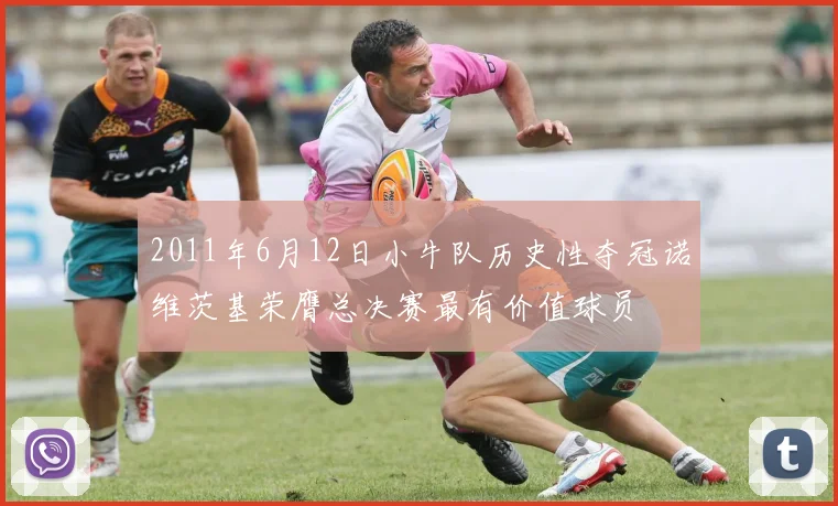 2011年6月12日小牛队历史性夺冠诺维茨基荣膺总决赛最有价值球员