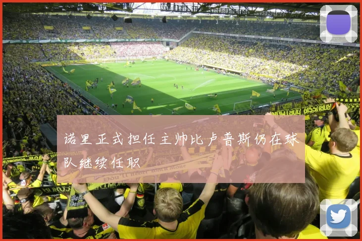 诺里正式担任主帅比卢普斯仍在球队继续任职