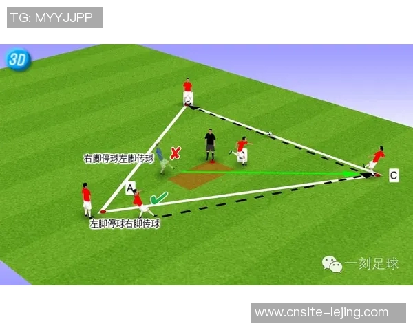 杨瀚森分享三分球心得：战术与胜利并重将不断精进细节